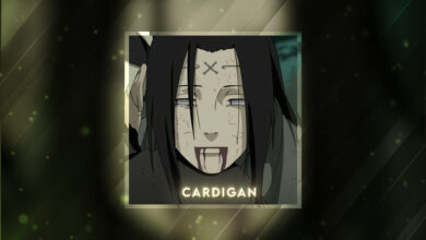 Cardigan