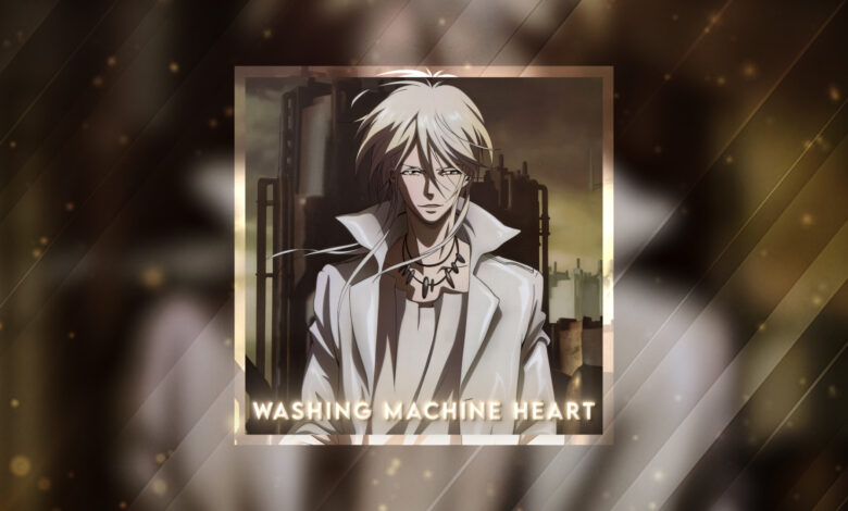 Washing Machine Heart