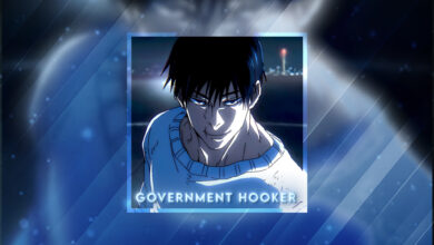 Government Hooker